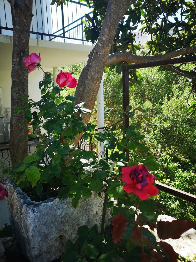 Apartman Sissy Primošten Esterno foto