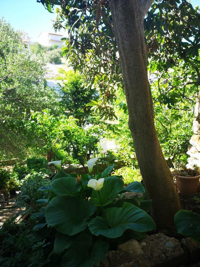 Apartman Sissy Primošten Esterno foto